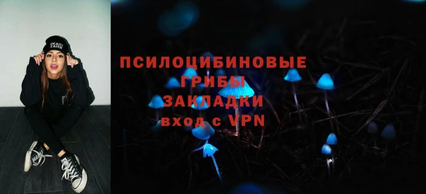 бошки Армянск