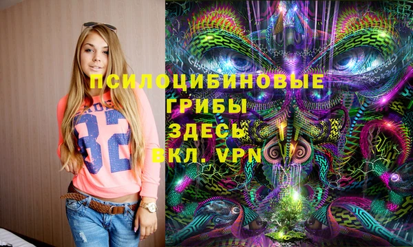 соль ск Арсеньев