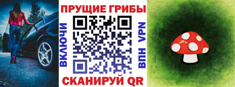 Псилоцибиновые грибы Psilocybe цены Усолье-Сибирское